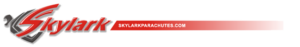 Skylark logo