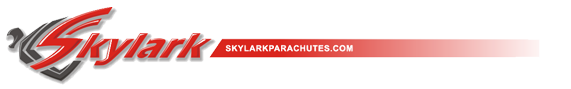 Skylark logo