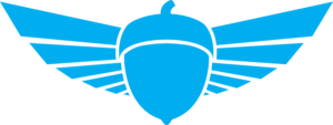 Squirrel logo